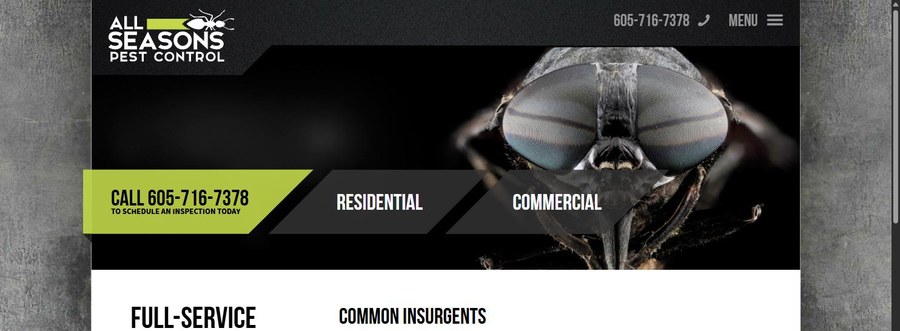 Screenshot of the All Seasons Pest Control website