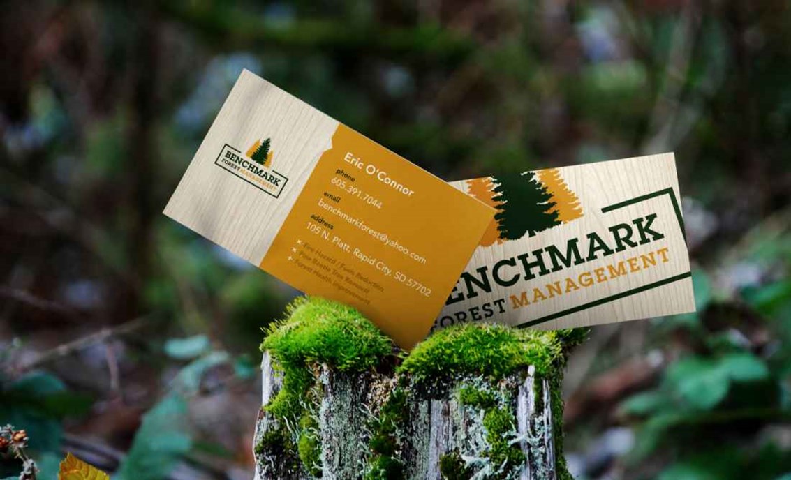 Benchmark Forest Management Logo and Business Cards

